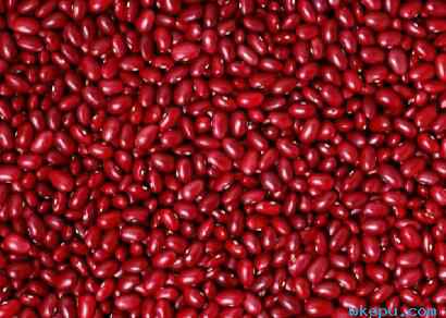 “红豆生南国”的“红豆”到底是什么植物？